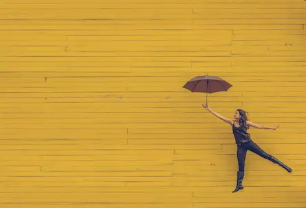 Five Reasons Why Tax Matterz are The Best Accountants in Auckland